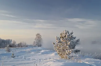 Розповідь про снігових корів або як я зайняв 2-е місце у фотоконкурсі, блог початківця фотографа і (корів) Розповідь про снігових корів або як я зайняв 2-е місце у фотоконкурсі, блог початківця фотографа і