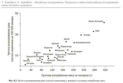 Рослинні білки і їх цінність для організму (організму) Рослинні білки і їх цінність для організму