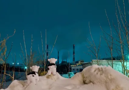 Розповідь про снігових корів або як я зайняв 2-е місце у фотоконкурсі, блог початківця фотографа і (nikkor 18-55) Розповідь про снігових корів або як я зайняв 2-е місце у фотоконкурсі, блог початківця фотографа і
