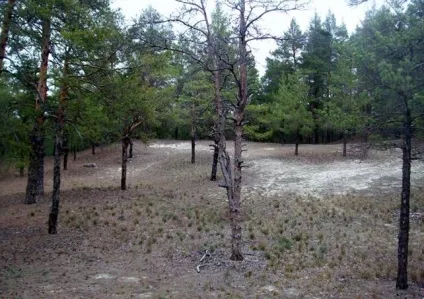 Ракшина - олег - александрович, Ростелеком (олег) Ракшина - олег - александрович, Ростелеком