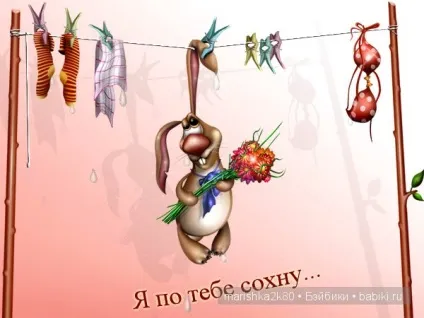 Пухнасті картинки алексея Долотова (малюнки котів) Пухнасті картинки алексея Долотова