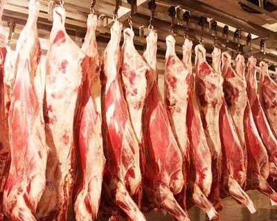 Технологія виробництва блочного м'яса з яловичини, м'ясопродукти від виробника (блочного) Технологія виробництва блочного м'яса з яловичини, м'ясопродукти від виробника