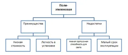 Тепличний бізнес детальний план по впровадженню (тепличний бізнес) Тепличний бізнес детальний план по впровадженню