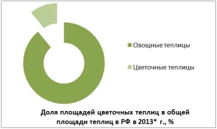 Тепличний бізнес детальний план по впровадженню (тепличне господарство бізнесплан) Тепличний бізнес детальний план по впровадженню