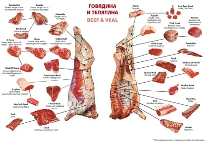 Технологія виробництва блочного м'яса з яловичини, м'ясопродукти від виробника (яловичини) Технологія виробництва блочного м'яса з яловичини, м'ясопродукти від виробника