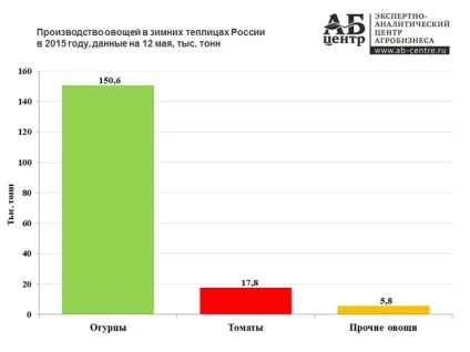 Тепличний бізнес детальний план по впровадженню (тепличний бізнес) Тепличний бізнес детальний план по впровадженню