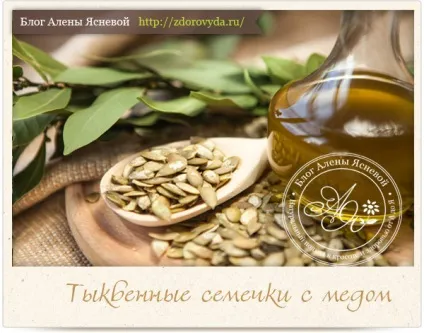 Гарбузове насіння з медом - користь і рецепт приготування (користь) Гарбузове насіння з медом - користь і рецепт приготування