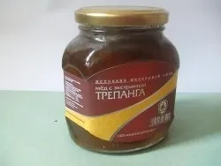 Трепанг на меду - як приймати і приготувати настоянку