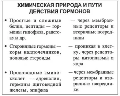 Транспорт і метаболізм гормонів (транспорт) Транспорт і метаболізм гормонів