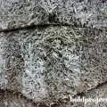 Вчимося робити форму для штучного каменю своїми руками (вчимося) Вчимося робити форму для штучного каменю своїми руками