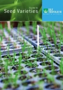 Трифолиум trifolium