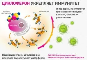Уколи проти герпесу