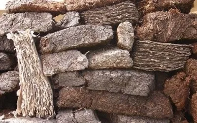 Удобрюємо грунт в теплиці технологія (грунт) Удобрюємо грунт в теплиці технологія
