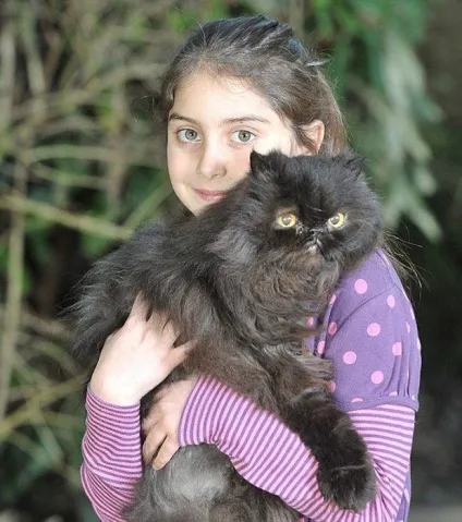 У цього кота всього дві лапи, але навіть зараз він не шкодує себе! (Кота) У цього кота всього дві лапи, але навіть зараз він не шкодує себе!