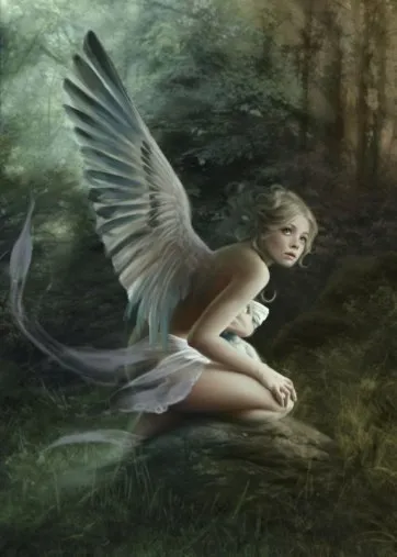 Урок photoshop малюємо крила ангела, photoshop painter - трохи про все (painter) Урок photoshop малюємо крила ангела, photoshop painter - трохи про все