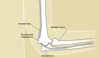 Узі ліктьового суглоба, плеча і суглобів кистей рук (кистей) Узі ліктьового суглоба, плеча і суглобів кистей рук