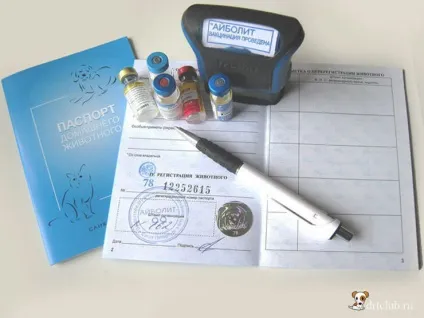 Вакцинація собак, drtclub