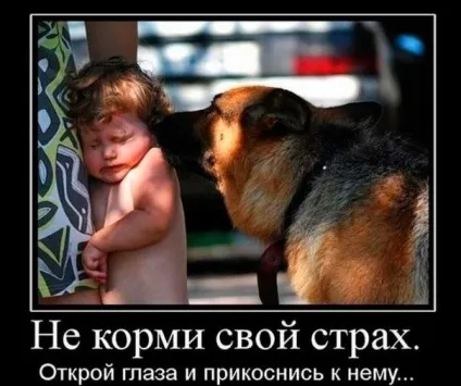 У чому причина ліні