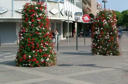Вертикальна клумба 50 фото, як зробити вертикальну клумбу (в'юнкі рослини які) Вертикальна клумба 50 фото, як зробити вертикальну клумбу