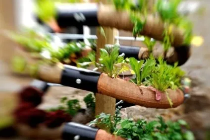 Вертикальні клумби своїми руками - все варіанти створення (клумби) Вертикальні клумби своїми руками - все варіанти створення