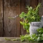 Вирощування капусти білокачанної у відкритому грунті (відкритому) Вирощування капусти білокачанної у відкритому грунті