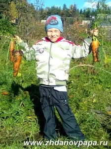 Вирощування моркви в питаннях і відповідях (продовження), блог валерія Жданова (моркви) Вирощування моркви в питаннях і відповідях (продовження), блог валерія Жданова