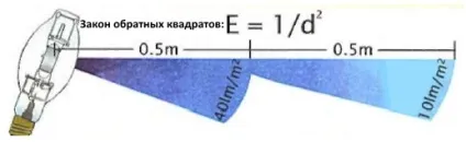 Вирощування конопель в гроубокса - спектр світла і розташування ламп (аут) Вирощування конопель в гроубокса - спектр світла і розташування ламп