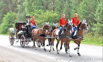 Види кінних екіпажів