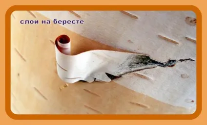 Види плетіння з берести продовжуємо знайомство з ремеслом - ярмарок майстрів - ручна робота, (робота) Види плетіння з берести продовжуємо знайомство з ремеслом - ярмарок майстрів - ручна робота,