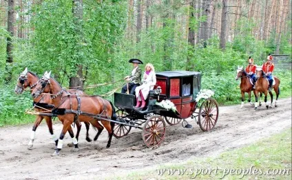 Види кінних екіпажів
