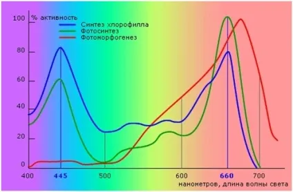 Вирощування конопель в гроубокса - спектр світла і розташування ламп (індаур) Вирощування конопель в гроубокса - спектр світла і розташування ламп