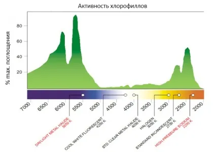 Вирощування конопель в гроубокса - спектр світла і розташування ламп (культивація канабісу) Вирощування конопель в гроубокса - спектр світла і розташування ламп