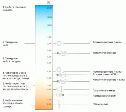 Вирощування конопель в гроубокса - спектр світла і розташування ламп (спектр) Вирощування конопель в гроубокса - спектр світла і розташування ламп