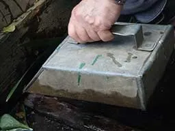 У пошуках рідкісної рослини, що заміняє десятки таблеток, або про проблему вибору альтернативного (лікування травами псоріазу) У пошуках рідкісної рослини, що заміняє десятки таблеток, або про проблему вибору альтернативного