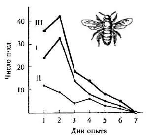 виникнення адаптацій