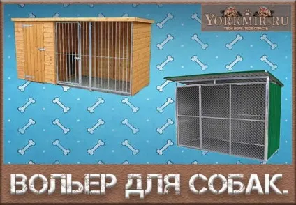 Вольєри для собак, розміри, види, як зробити (види) Вольєри для собак, розміри, види, як зробити