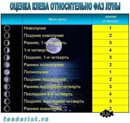 Вплив фази місяця на кльов і теорія «Солун» - ловля на фідер (час) Вплив фази місяця на кльов і теорія «Солун» - ловля на фідер