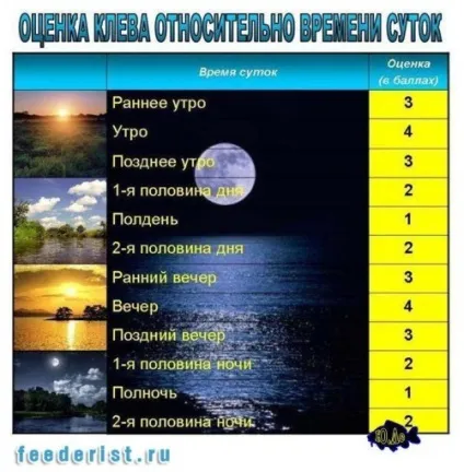 Вплив фази місяця на кльов і теорія «Солун» - ловля на фідер (місяця) Вплив фази місяця на кльов і теорія «Солун» - ловля на фідер