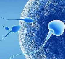 Хімічний склад продуктів харчування або не їжа - українські вести (харчування) Хімічний склад продуктів харчування або не їжа - українські вести