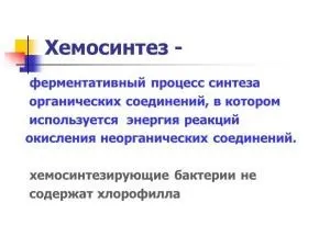Хемосинтезирующие бактерії роль в біосфері, різновиди, харчування (хемосинтезирующие) Хемосинтезирующие бактерії роль в біосфері, різновиди, харчування