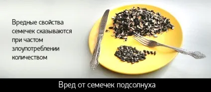 Чи шкідливі смажене насіння - відповіді для жінок (можна) Чи шкідливі смажене насіння - відповіді для жінок