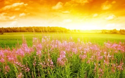 Хороші вірші про сонце і жарку погоду (сонце) Хороші вірші про сонце і жарку погоду