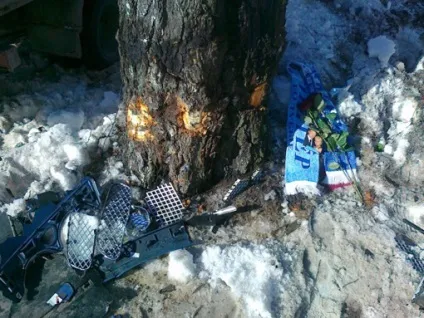 В результаті автокатастрофи померла дружина вячеслава Малафєєва марини - новини - радянський спорт (вячеслава) В результаті автокатастрофи померла дружина вячеслава Малафєєва марини - новини - радянський спорт