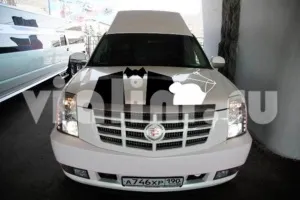 Замовити оренду лімузина на весілля недорого в Москві - прокат авто за доступними цінами (напрокат) Замовити оренду лімузина на весілля недорого в Москві - прокат авто за доступними цінами