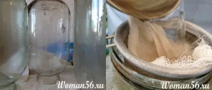 Заготівля березового соку (ряд) Заготівля березового соку