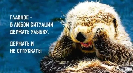 За що ви в цьому житті тримайтеся (філософія) За що ви в цьому житті тримайтеся