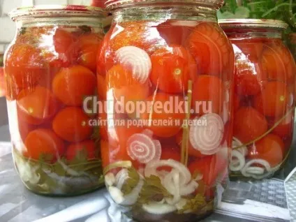 Закачування помідорів кращі рецепти з фото (такому вигляді залиште) Закачування помідорів кращі рецепти з фото