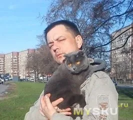 Котяча - неваляшка - або як зрушити - зозулю - у вашого вихованця (вихованця) Котяча - неваляшка - або як зрушити - зозулю - у вашого вихованця