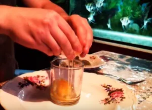 Корм для акваріумних рибок своїми руками (своїми) Корм для акваріумних рибок своїми руками