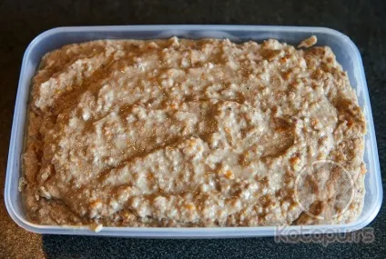 Корм для кішок своїми руками - домашній паштет (паштет) Корм для кішок своїми руками - домашній паштет